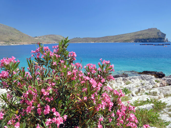 Porto Palermo Tour