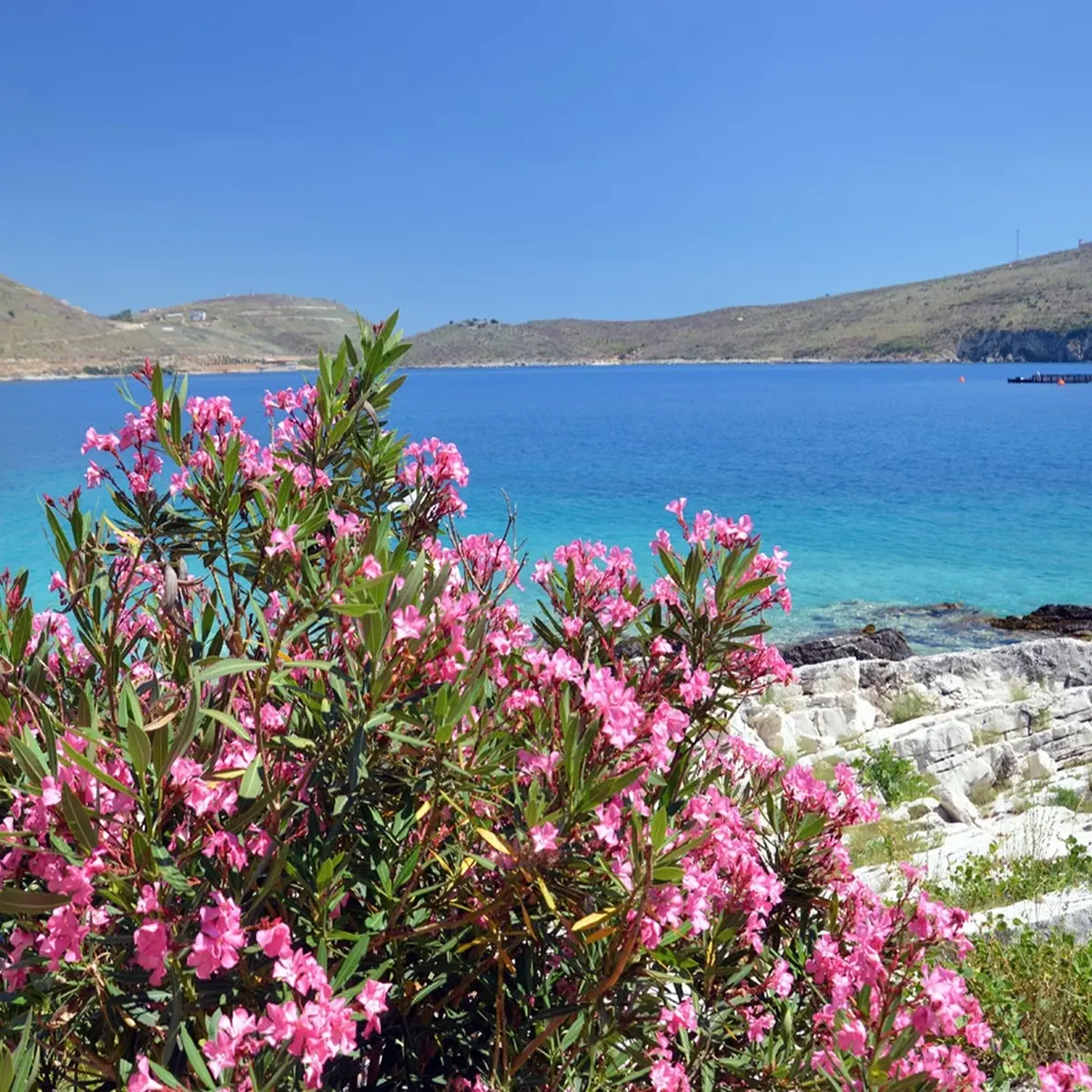 Porto Palermo boat tour with turquoise waters and historic castle views